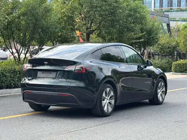 Tesla Model Y — Фото автомобиля 3