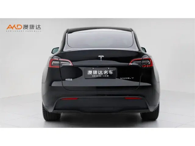 Tesla Model Y — Фото автомобиля 4
