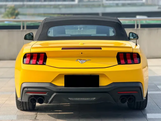 Ford Mustang — Фото автомобиля 12
