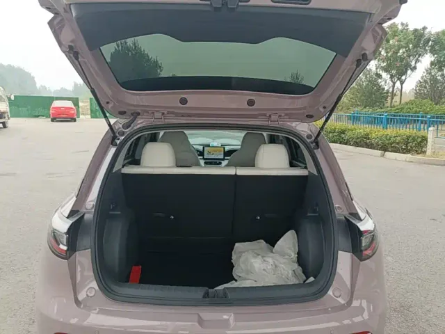 Geely Starry Wish — Фото автомобиля 18