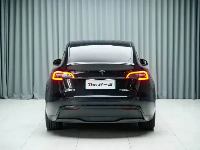 Tesla Model Y — Фото автомобиля 9