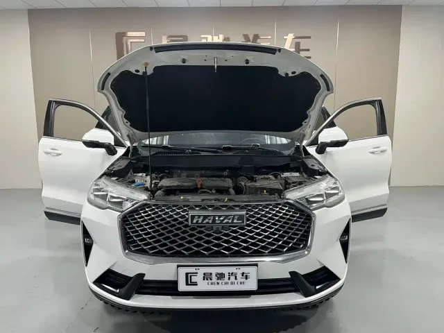 Haval Haval H6 2021 3rd Generation 1.5T Auto 2WD Max — Фото автомобиля 15
