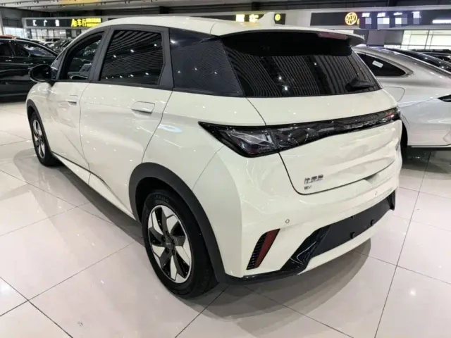 BYD Dolphin — Фото автомобиля 4