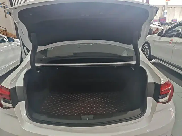Buick Regal — Фото автомобиля 18