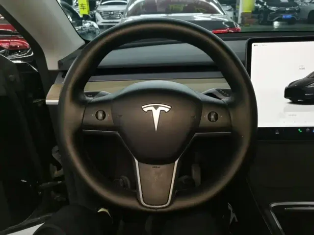 Tesla Model Y — Фото автомобиля 10