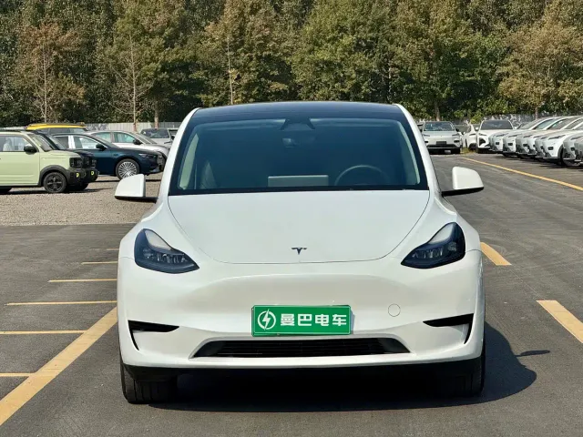 Tesla Model Y — Фото автомобиля 2