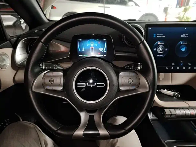 BYD Dolphin — Фото автомобиля 10