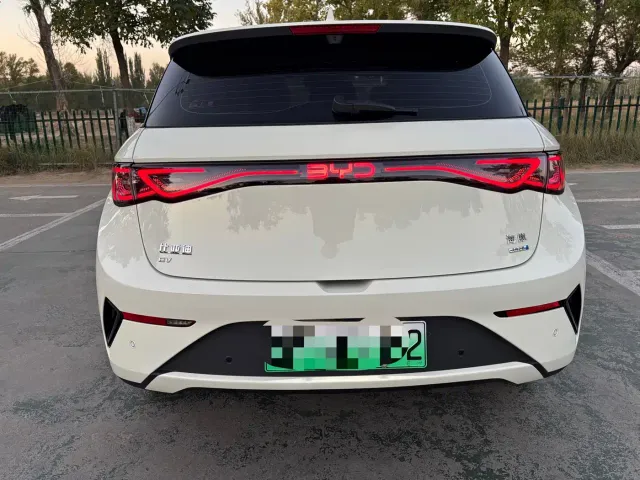BYD Dolphin — Фото автомобиля 11