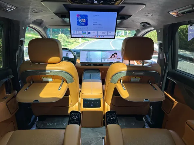 Wey Alpine — Фото автомобиля 16