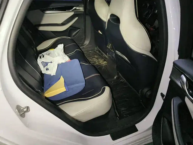 BYD Qin PLUS — Фото автомобиля 11