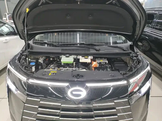 GAC Trumpchi E8 — Фото автомобиля 19