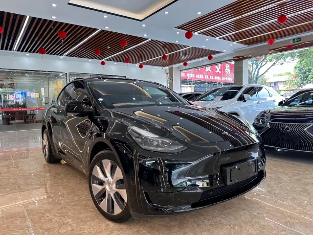 Tesla Model Y — Фото автомобиля 3