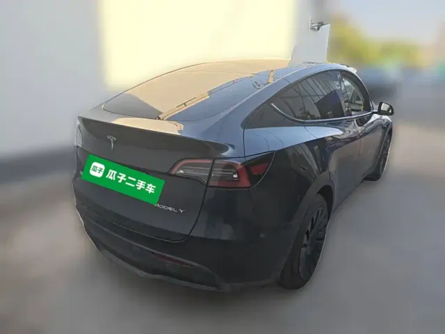 Tesla Model Y — Фото автомобиля 9