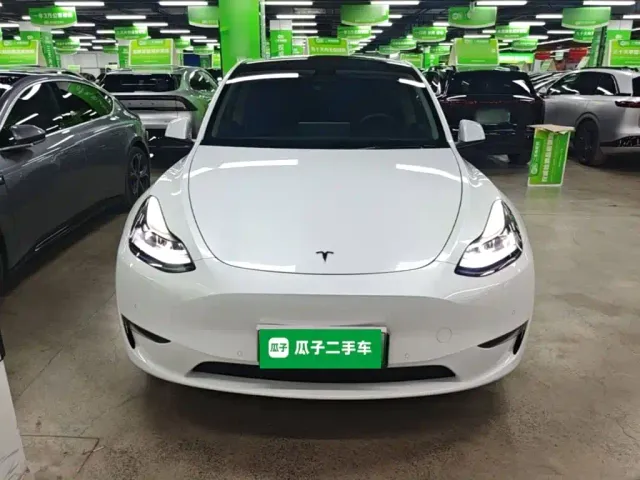 Tesla Model Y — Фото автомобиля 2