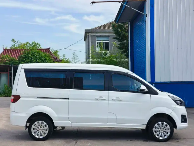 Jinbei Golden Sea Lion M Classic — Фото автомобиля 8