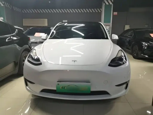 Tesla Model Y — Фото автомобиля 2