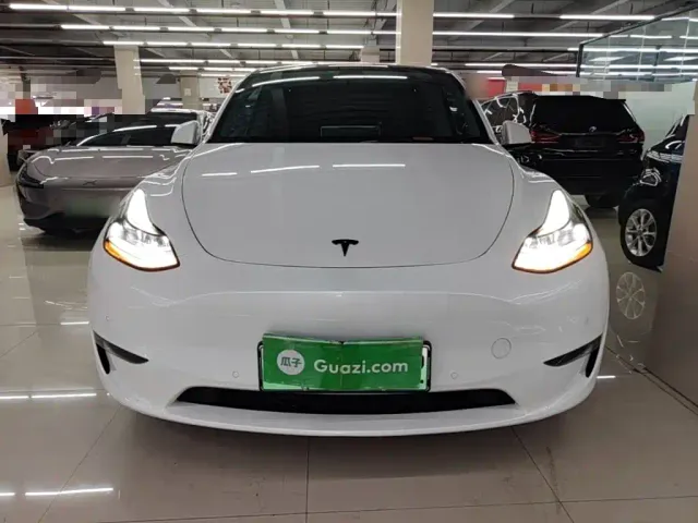 Tesla Model Y — Фото автомобиля 2