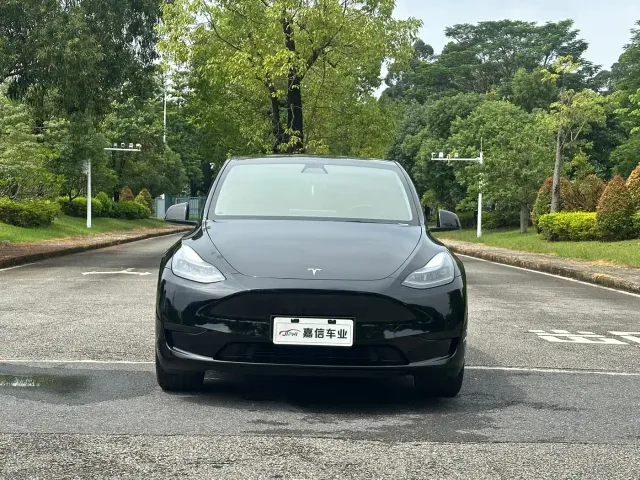 Tesla Model Y — Фото автомобиля 2