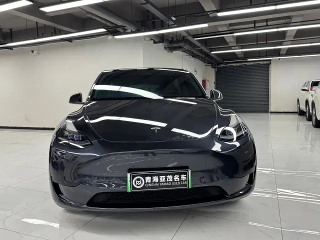 Tesla Model Y — Фото автомобиля 2