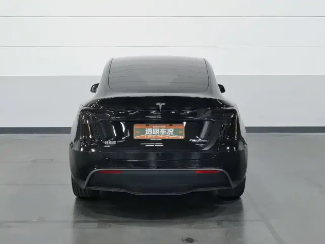 Tesla Model Y — Фото автомобиля 4