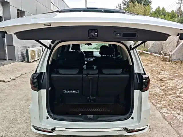 Honda Elysion — Фото автомобиля 18