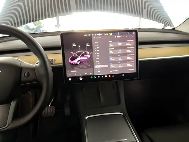 Tesla Model Y — Фото автомобиля 12