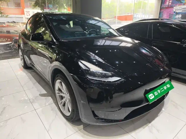 Tesla Model Y — Фото автомобиля 3