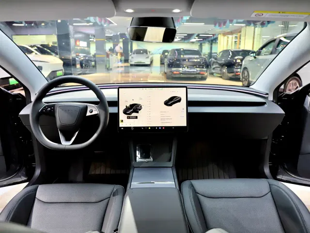 Tesla Model 3 — Фото автомобиля 10