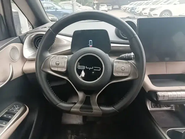 BYD Dolphin — Фото автомобиля 10