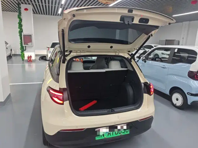 Geely Starry Wish — Фото автомобиля 18