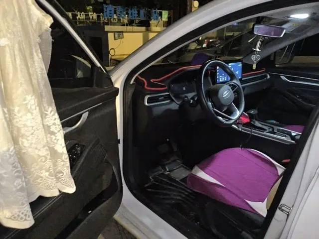 Geely Emgrand — Фото автомобиля 17