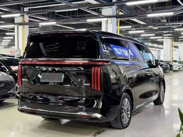 Wey Alpine — Фото автомобиля 10