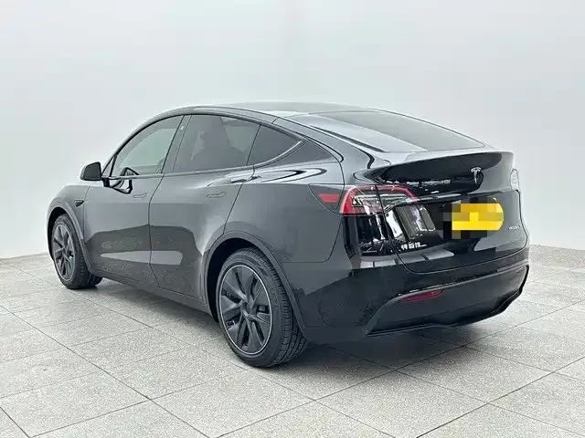 Tesla Model Y — Фото автомобиля 4