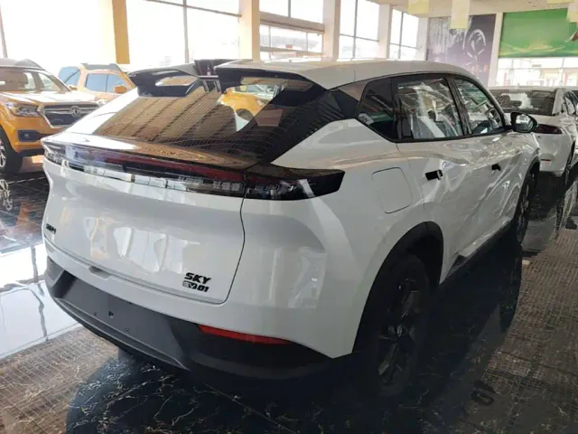 Dongfeng SKY EV01 — Фото автомобиля 6