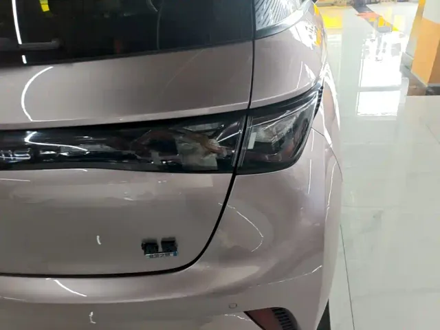 BYD Dolphin — Фото автомобиля 7