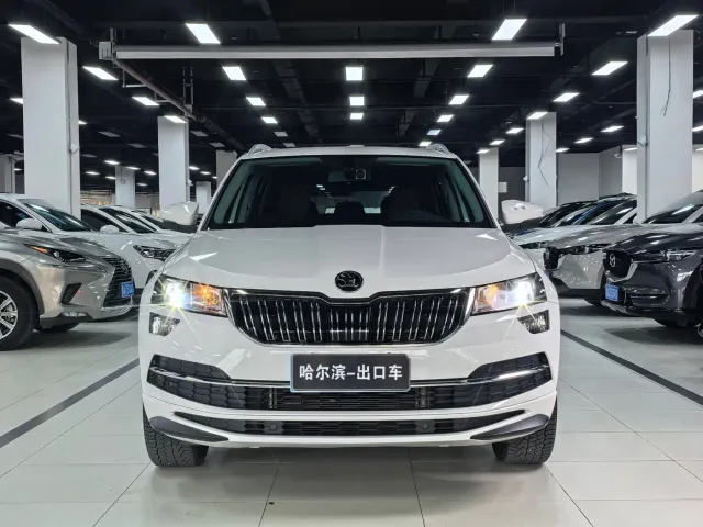 Skoda Karoq — Фото автомобиля 2