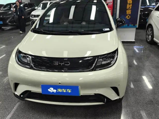BYD Dolphin — Фото автомобиля 2