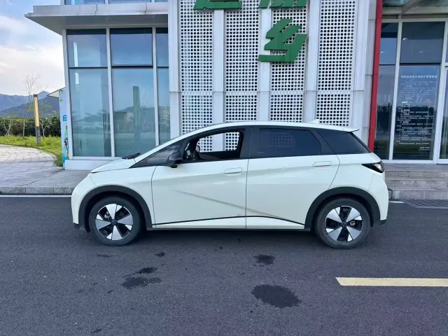 BYD Dolphin — Фото автомобиля 5