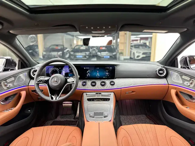 Mercedes-Benz CLS-Class — Фото автомобиля 9