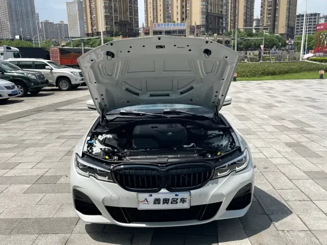 BMW 3 Series — Фото автомобиля 29
