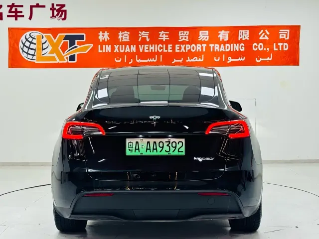 Tesla Model Y — Фото автомобиля 5