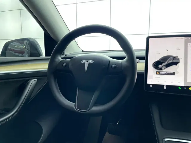 Tesla Model Y 2021 Standard Range Rear-Wheel Drive — Фото автомобиля 16