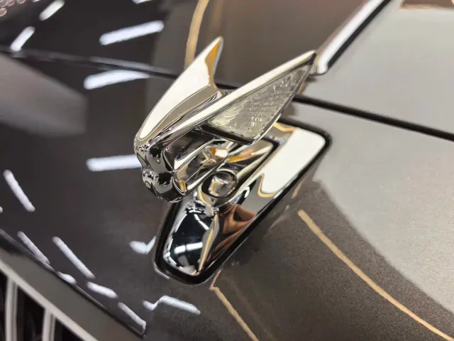 Bentley Flying Spur — Фото автомобиля 11
