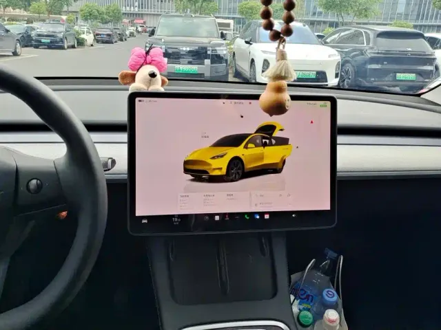Tesla Model Y — Фото автомобиля 13