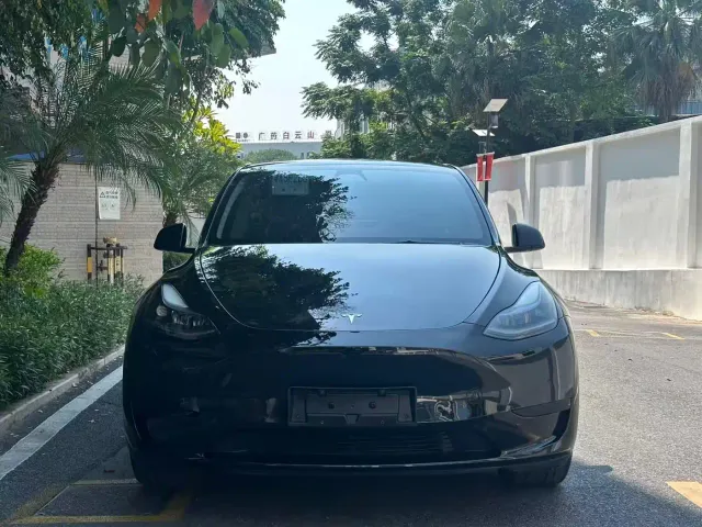 Tesla Model Y — Фото автомобиля 2