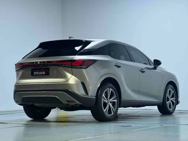 Lexus RX — Фото автомобиля 17