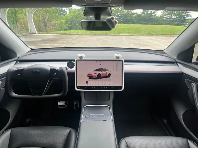 Tesla Model Y — Фото автомобиля 14