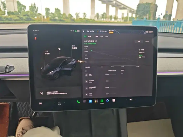 Tesla Model Y — Фото автомобиля 12