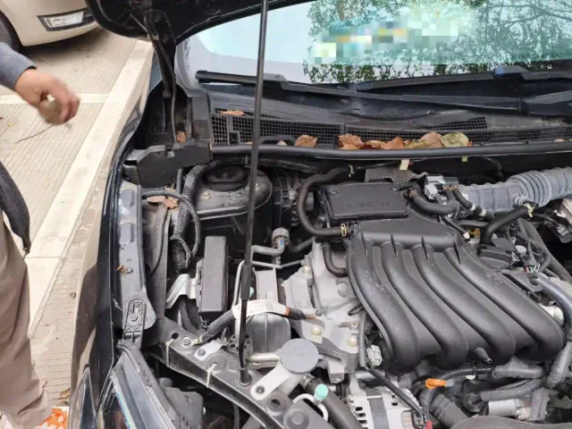 Nissan Sylphy — Фото автомобиля 20