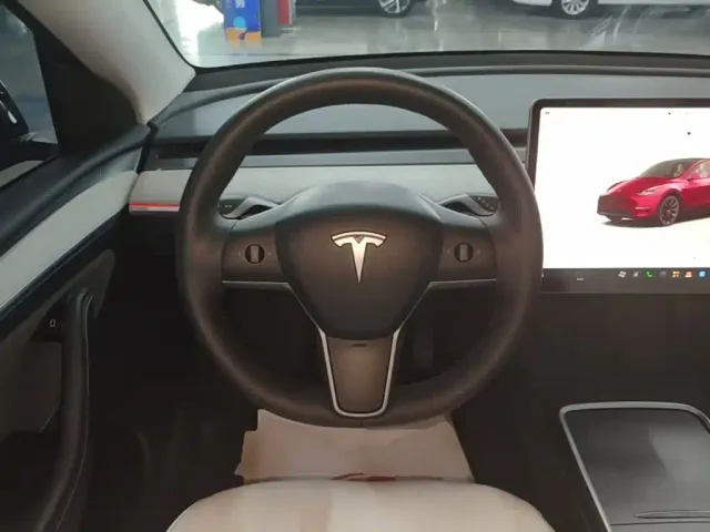 Tesla Model Y — Фото автомобиля 10